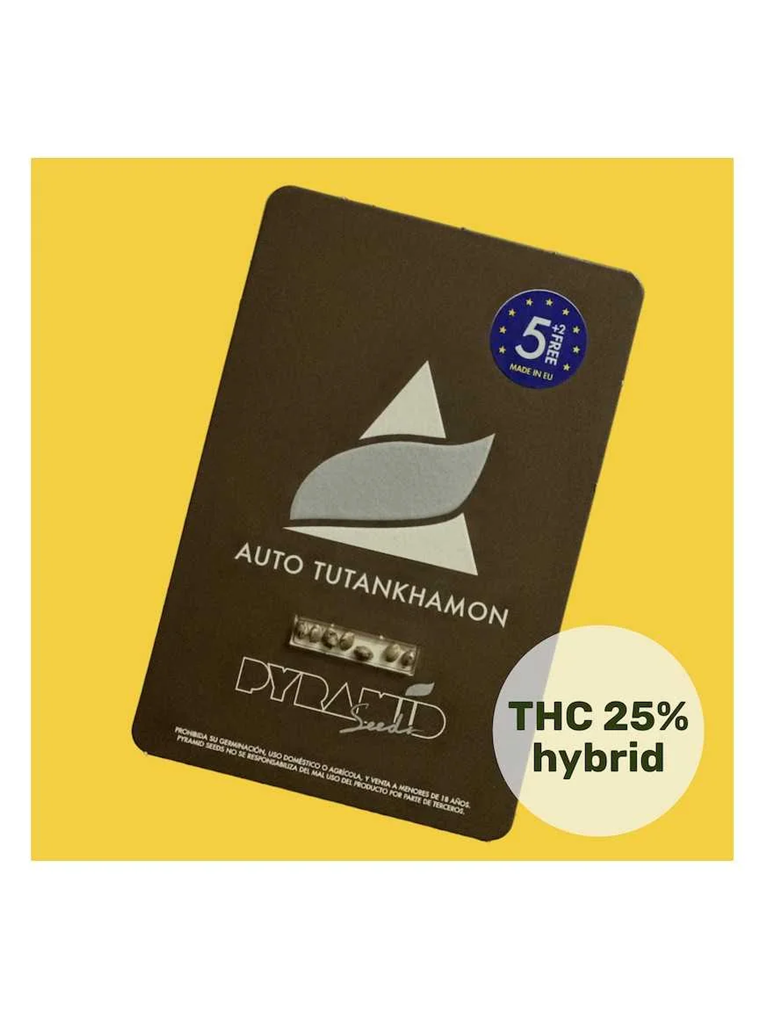 Tutankhamon Auto -Pyramid Seeds (X50/X5+2/X3+1/X1) 1