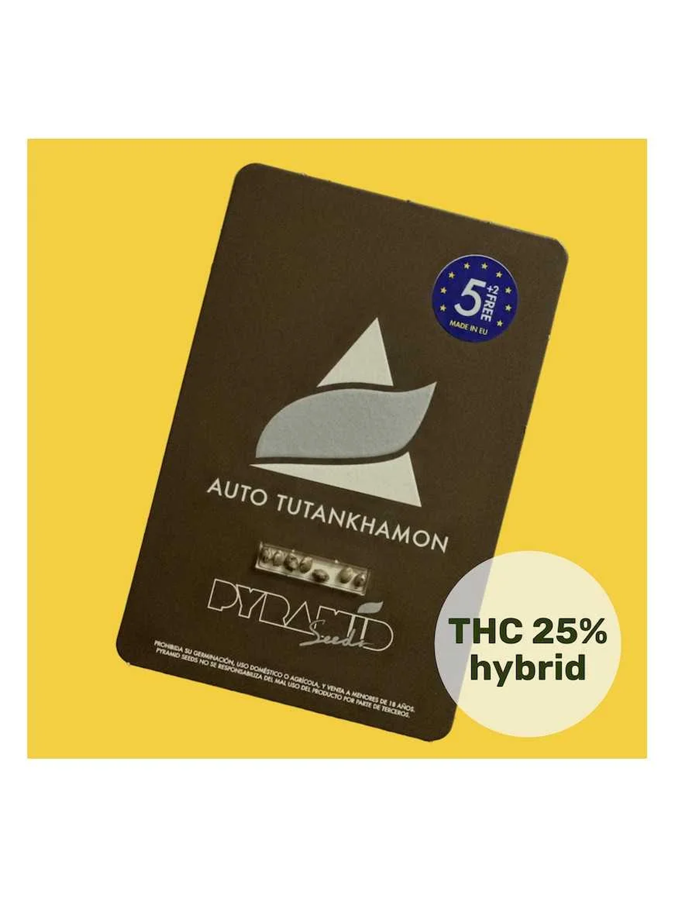 Tutankhamon Auto -Pyramid Seeds (X50/X5+2/X3+1/X1) 1