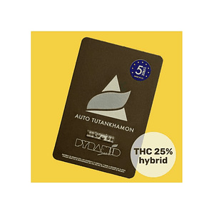 Tutankhamon Auto X50-Pyramid Seeds