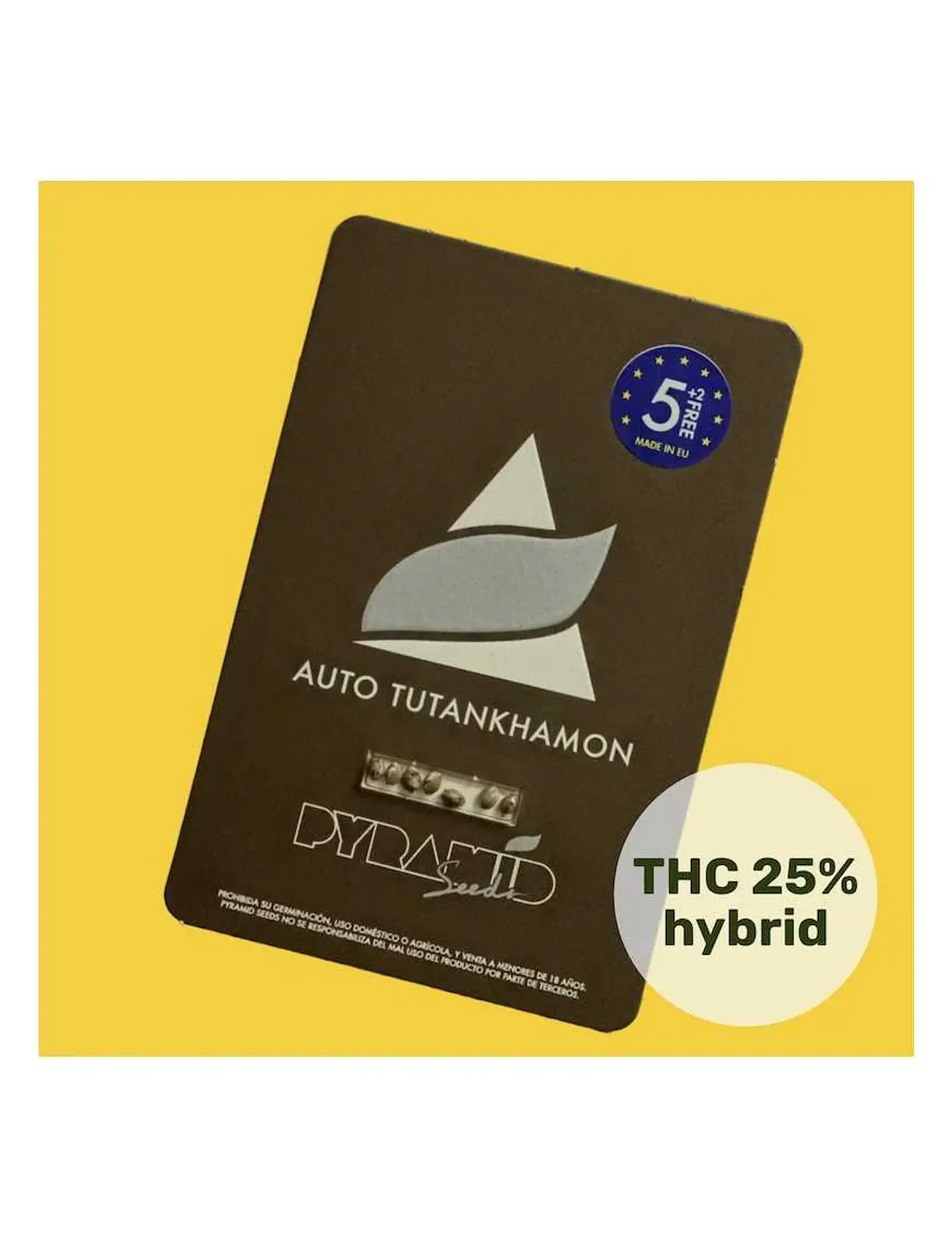 Tutankhamon Auto -Pyramid Seeds (X50/X5+2/X3+1/X1) 1