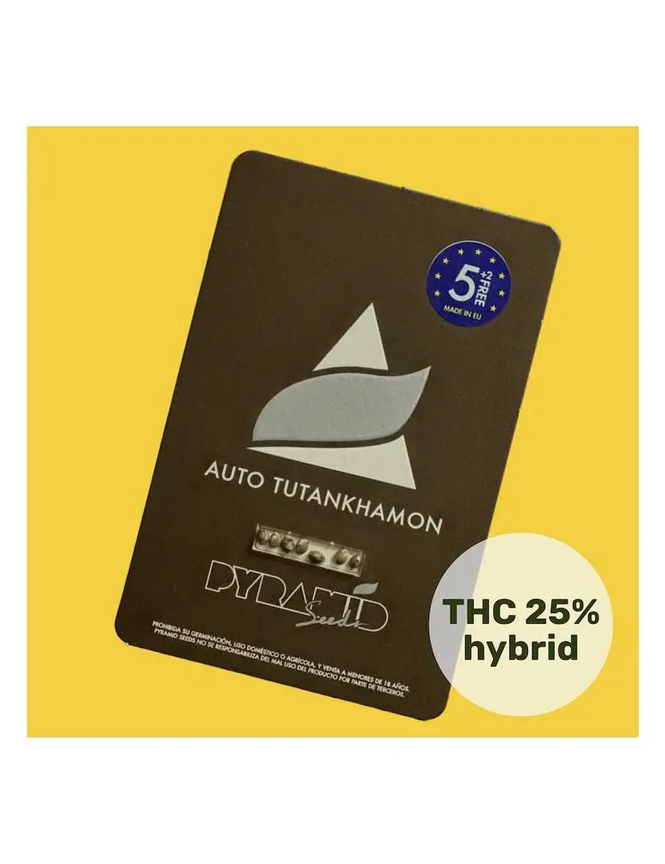 Tutankhamon Auto -Pyramid Seeds (X50/X5+2/X3+1/X1) 1
