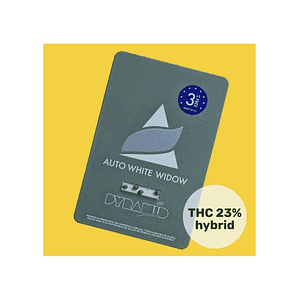 White Widow Auto X50-Pyramid Seeds