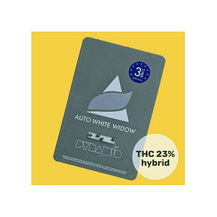 WHITE WIDOW AUTO X50-PYRAMID SEEDS