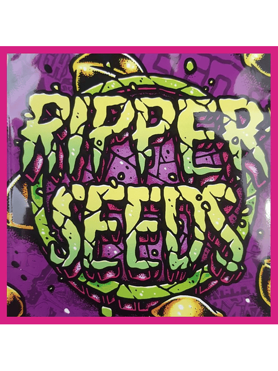 EDICION LIMITADA PURPLE PUNCH X DO-SI-DOS  FEM X3-RIPPER SEEDS 1