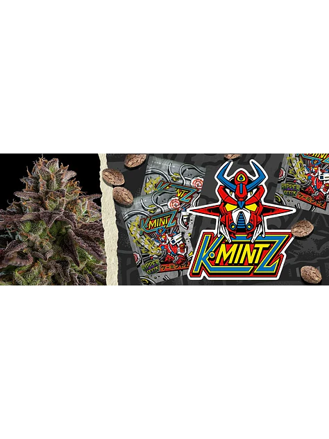 Kmintz Fem X3-Ripper Seeds 3