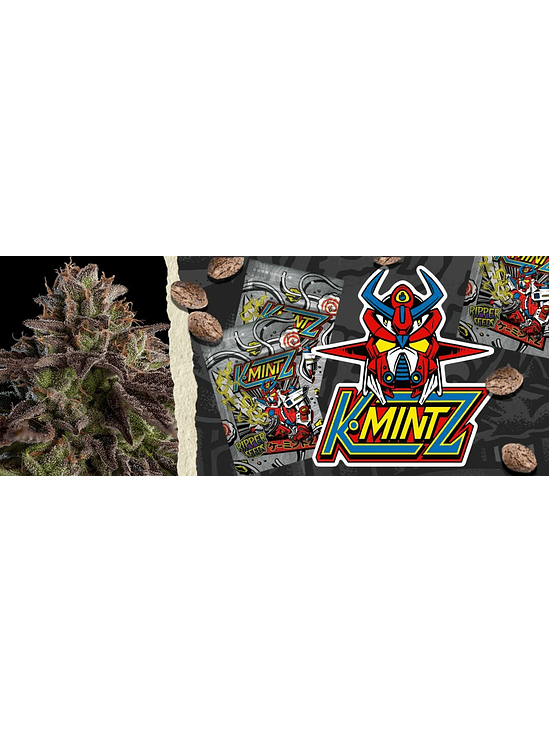 KMINTZ FEM X3-RIPPER SEEDS 3