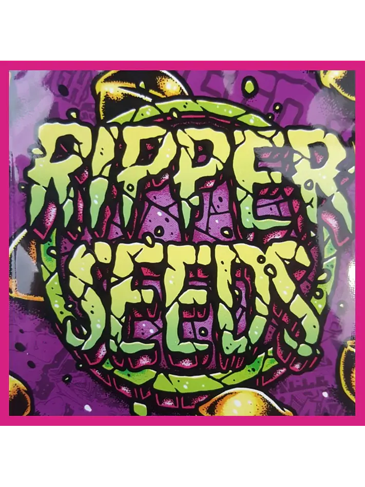 Edicion Limitada Mendocino Purple Kush X White Widow  Fem X3-Ripper Seeds 1