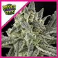 Old School Fem X3-Ripper Seeds - Miniatura 1