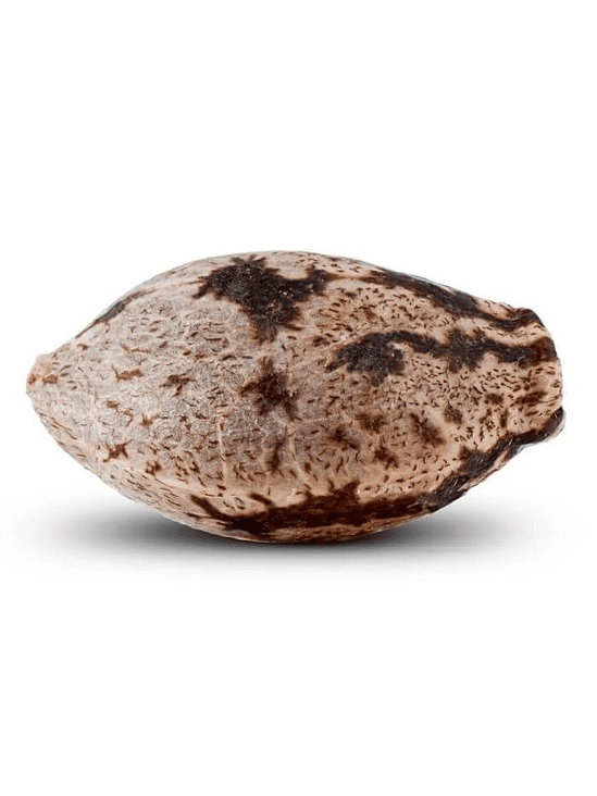 WASHING MACHINE  FEM X3-RIPPER SEEDS 2