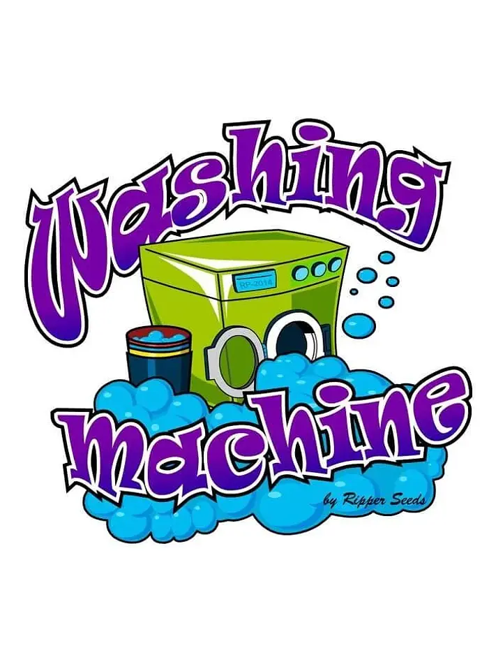 Washing Machine Fem -Ripper Seeds (X3/X1) 1