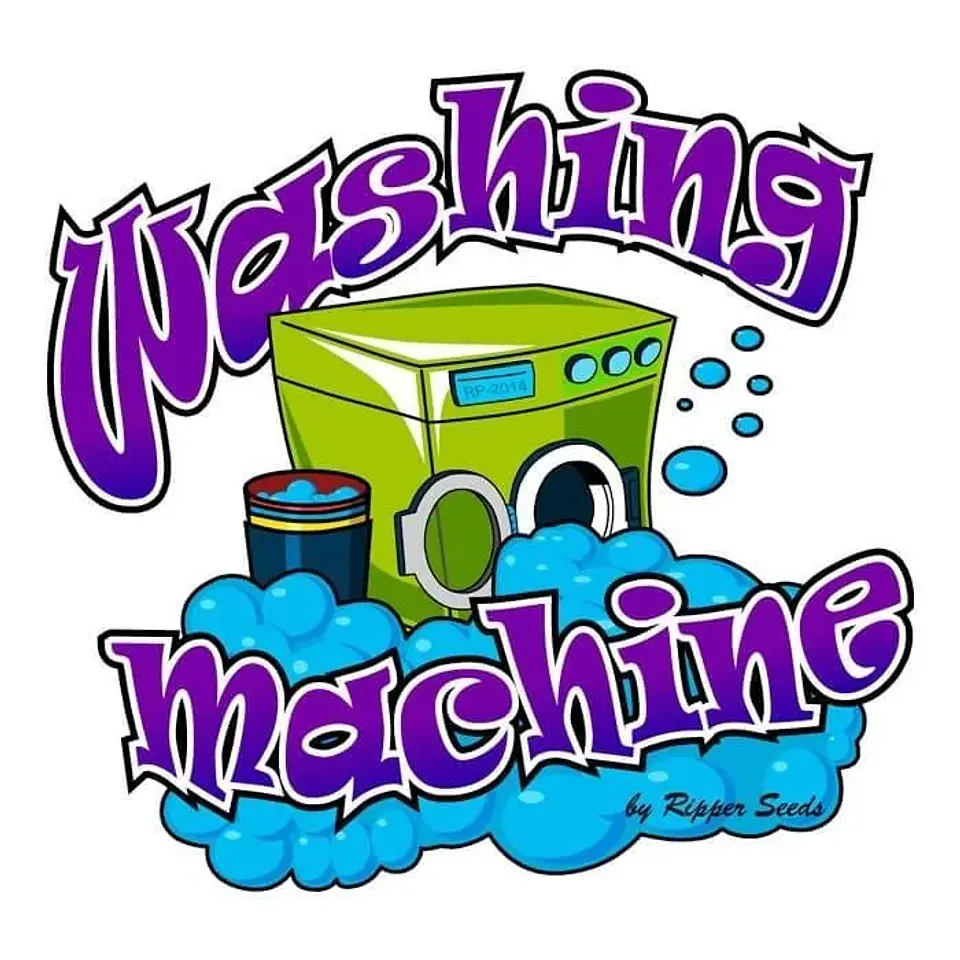 Washing Machine Fem -Ripper Seeds (X3/X1) 1