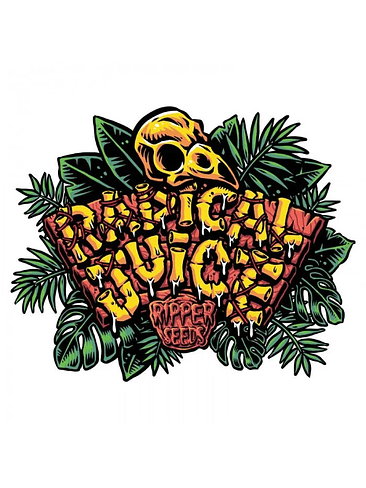 RADICAL JUICE FEM X3-RIPPER SEEDS 2