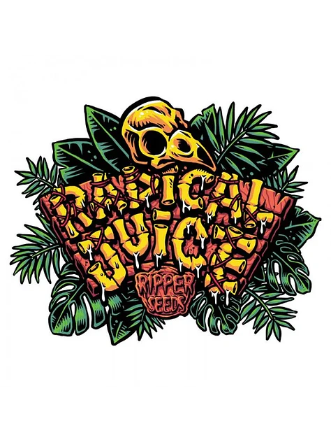 Radical Juice Fem X3-Ripper Seeds 2