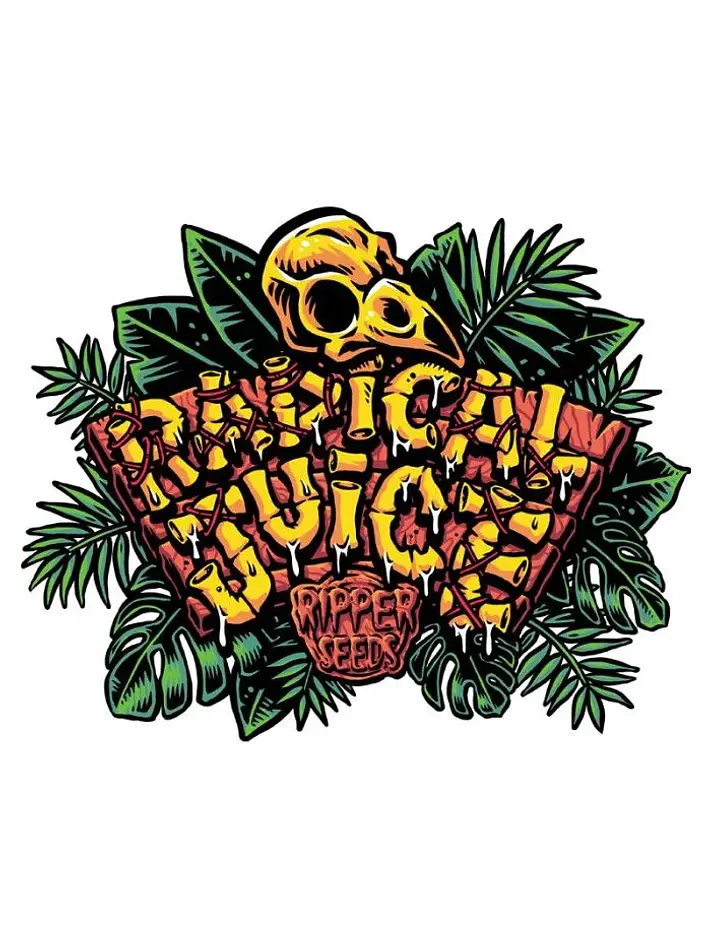 Radical Juice Fem X3-Ripper Seeds 2