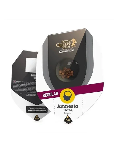 Amnesia Haze-New Reg. X10-Royal Queen Seeds 1