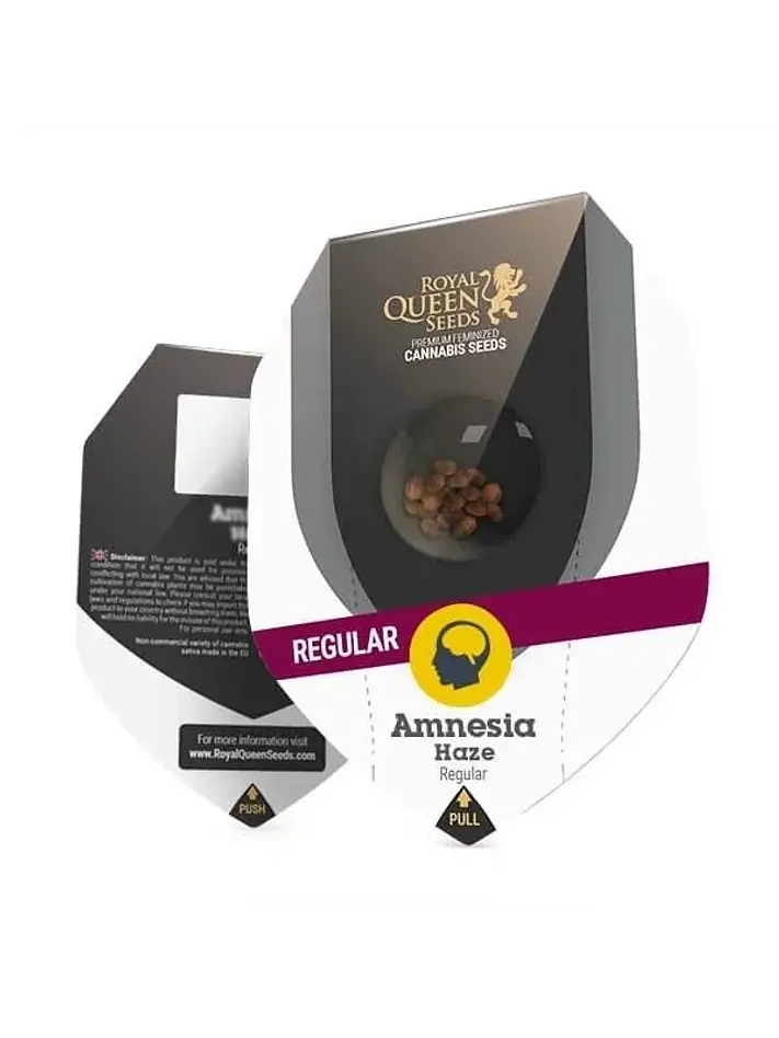 Amnesia Haze-New Reg. X10-Royal Queen Seeds 1