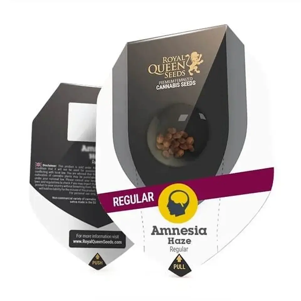 Amnesia Haze-New Reg. X10-Royal Queen Seeds 1