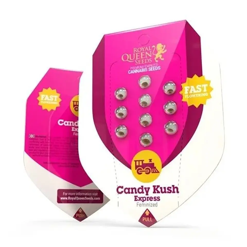 Candy Kush Express Fast Fem -Royal Queen (X100/X10/X3/X1) 3