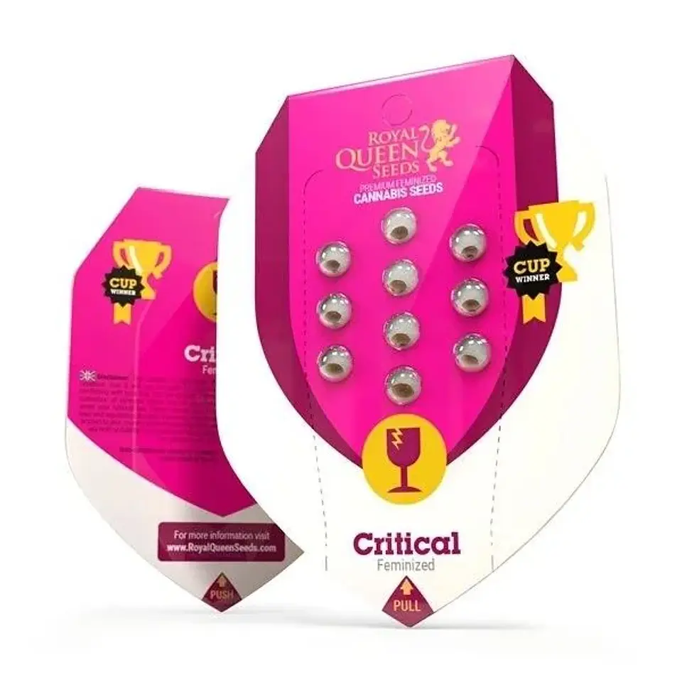 Critical Fem -Royal Queen (X1) 1