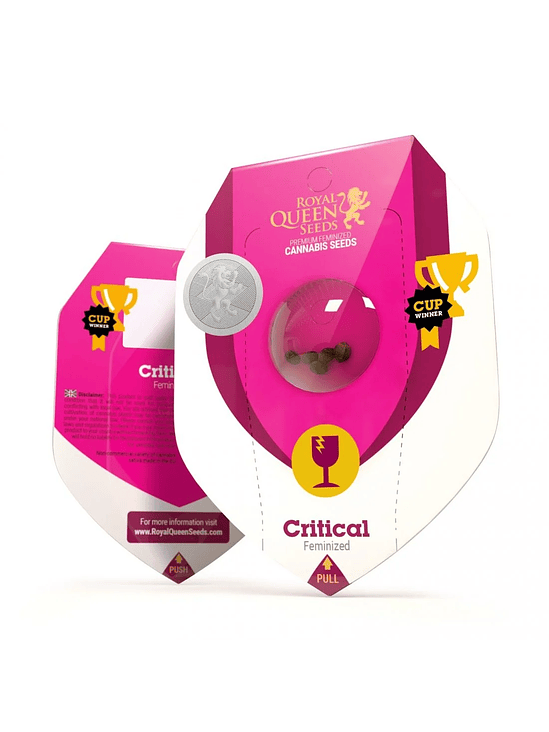 CRITICAL FEM X3-ROYAL QUEEN SEEDS 1