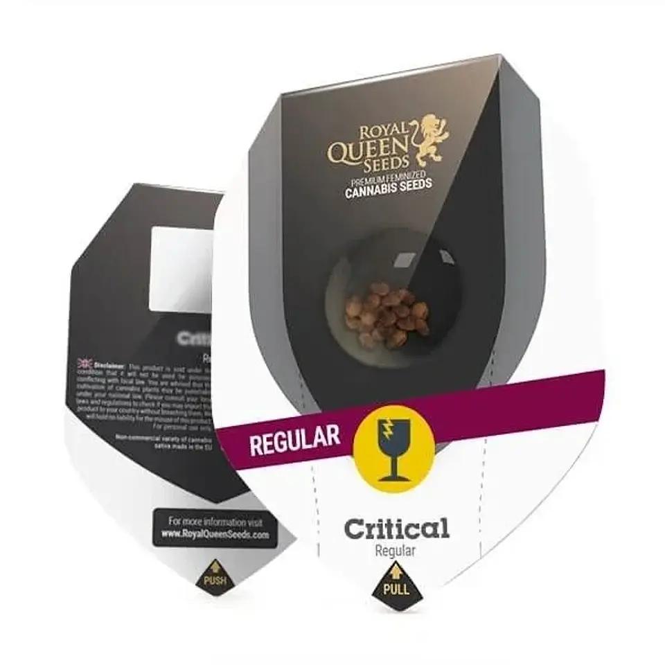 Critical-New Reg. X10-Royal Queen Seeds 1