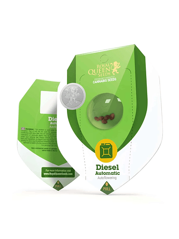 DIESEL AUTO X3-ROYAL QUEEN 1