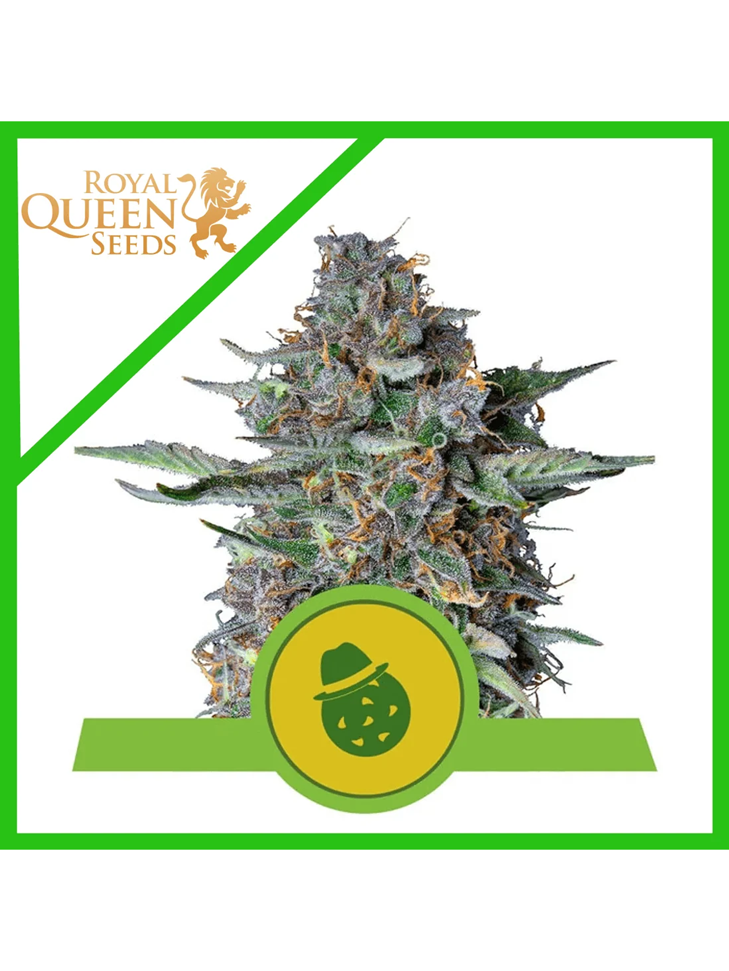 Do-Si-Dos Usa Premium Auto X3-Royal Queen 1
