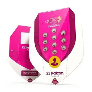 El Patron Fem X10-Royal Queen