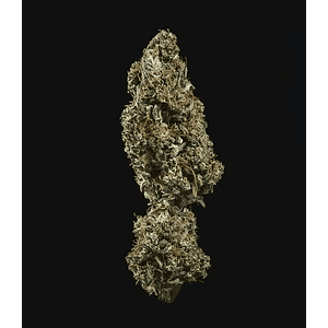 Fat Banana Usa Premium Auto X3-Royal Queen