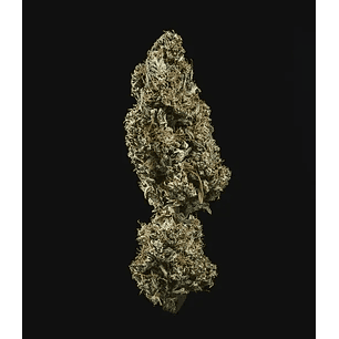 FAT BANANA USA PREMIUM AUTO X3-ROYAL QUEEN