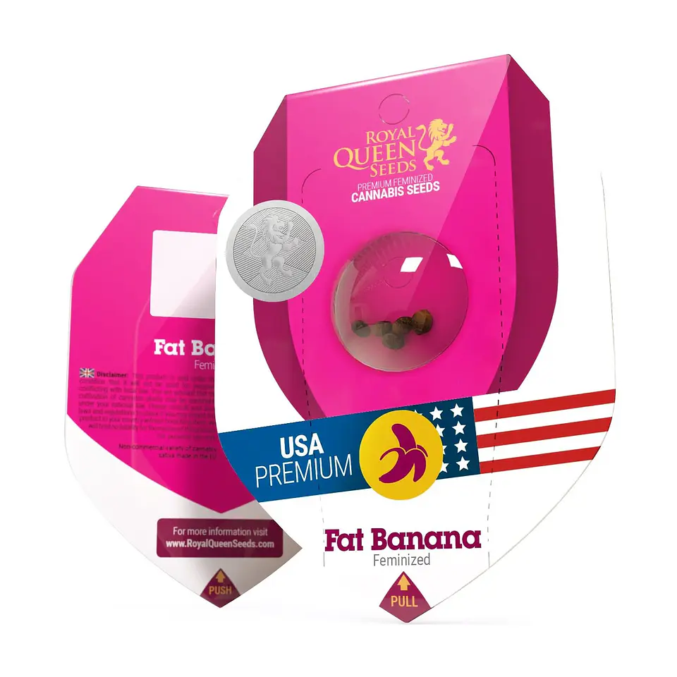 Fat Banana Usa Premium Fem X3-Royal Queen Seeds 1