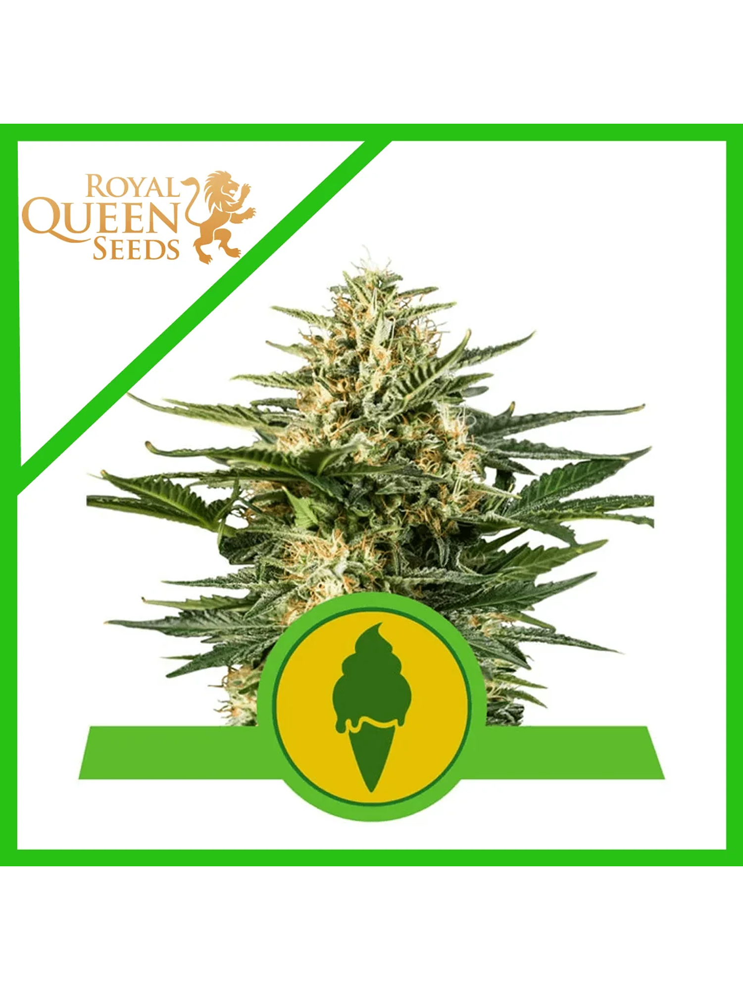 Green Gelato Usa Premium Auto X3-Royal Queen 2