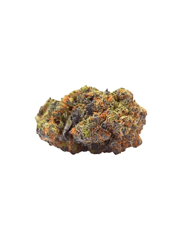 GREEN GELATO USA PREMIUM FEM X3-ROYAL QUEEN 2