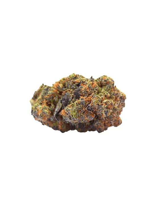 GREEN GELATO USA PREMIUM FEM X3-ROYAL QUEEN 2