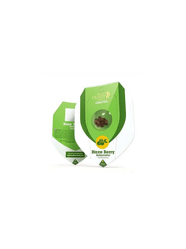 HAZE BERRY AUTO X3-ROYAL QUEEN SEEDS 1