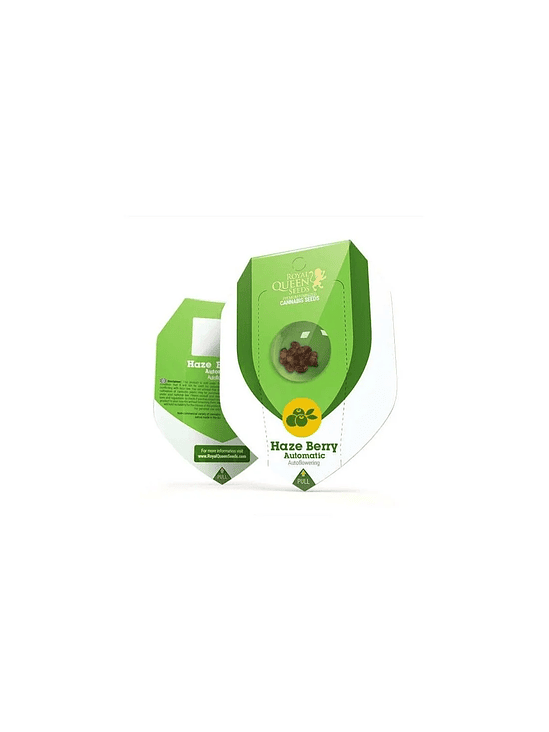 HAZE BERRY AUTO X3-ROYAL QUEEN SEEDS 1