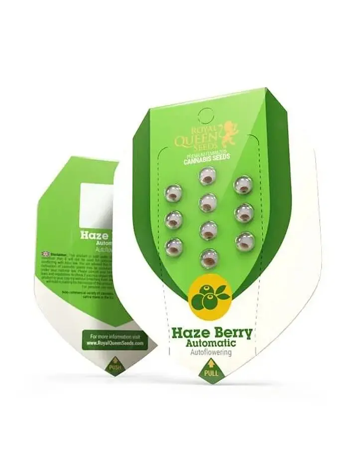 Haze Berry Auto -Royal Queen (X10/X1/X3) 1