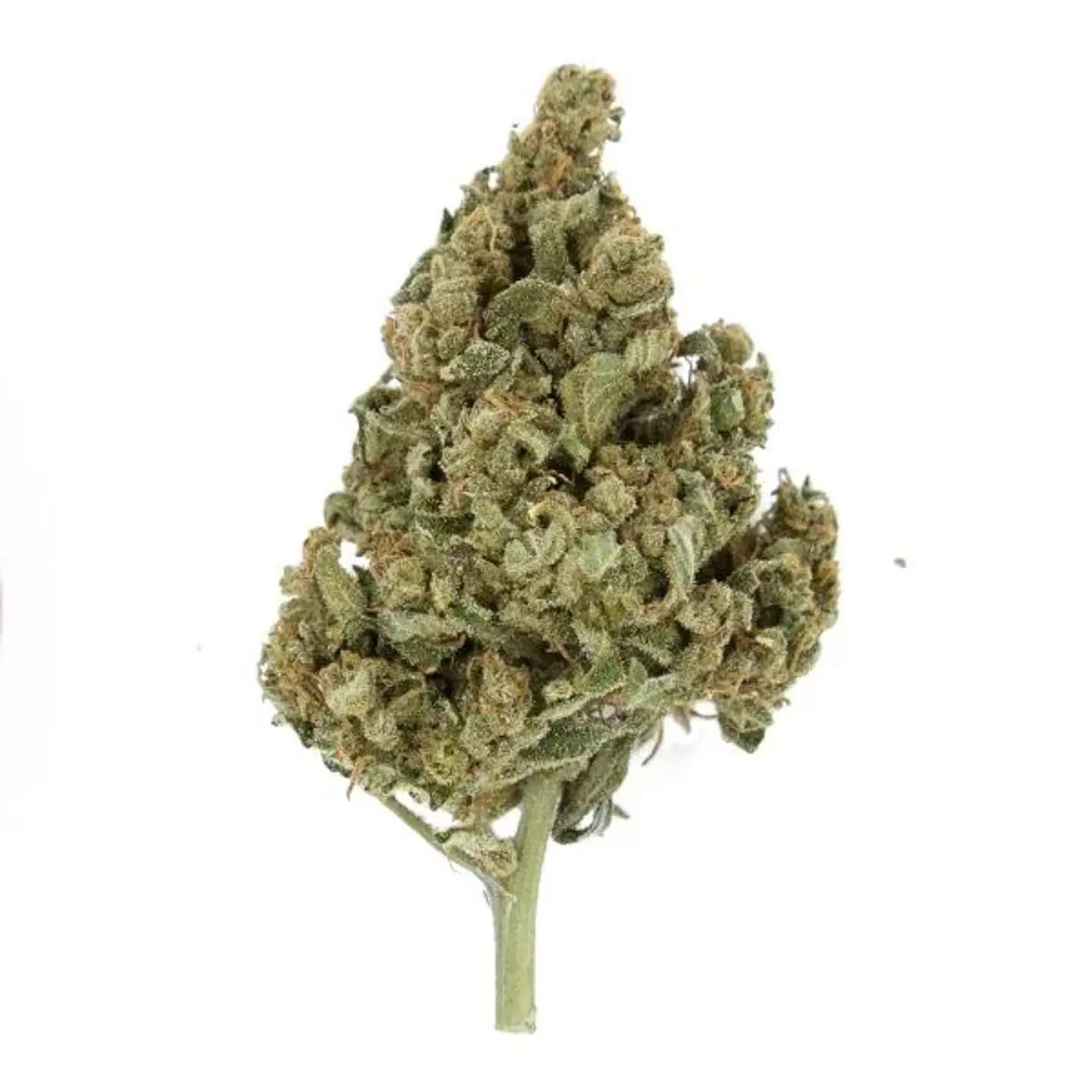 Lemon Shining Silver Haze Fem (X1/X3)-Royal Queen 2