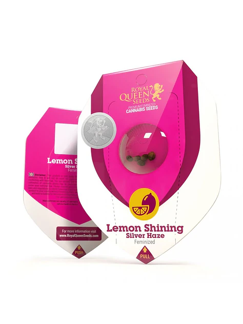 Lemon Shining Silver Haze Fem X3-Royal Queen Seeds 1