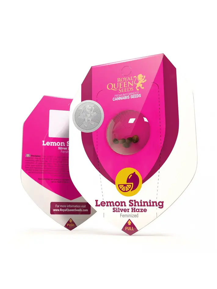 Lemon Shining Silver Haze Fem X3-Royal Queen Seeds 1