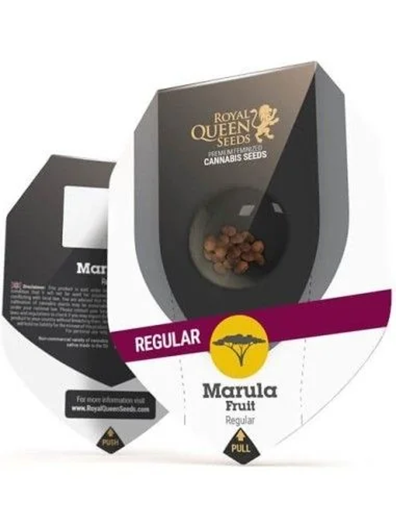 Marula Fruit Reg. X10-Royal Queen Seeds 1