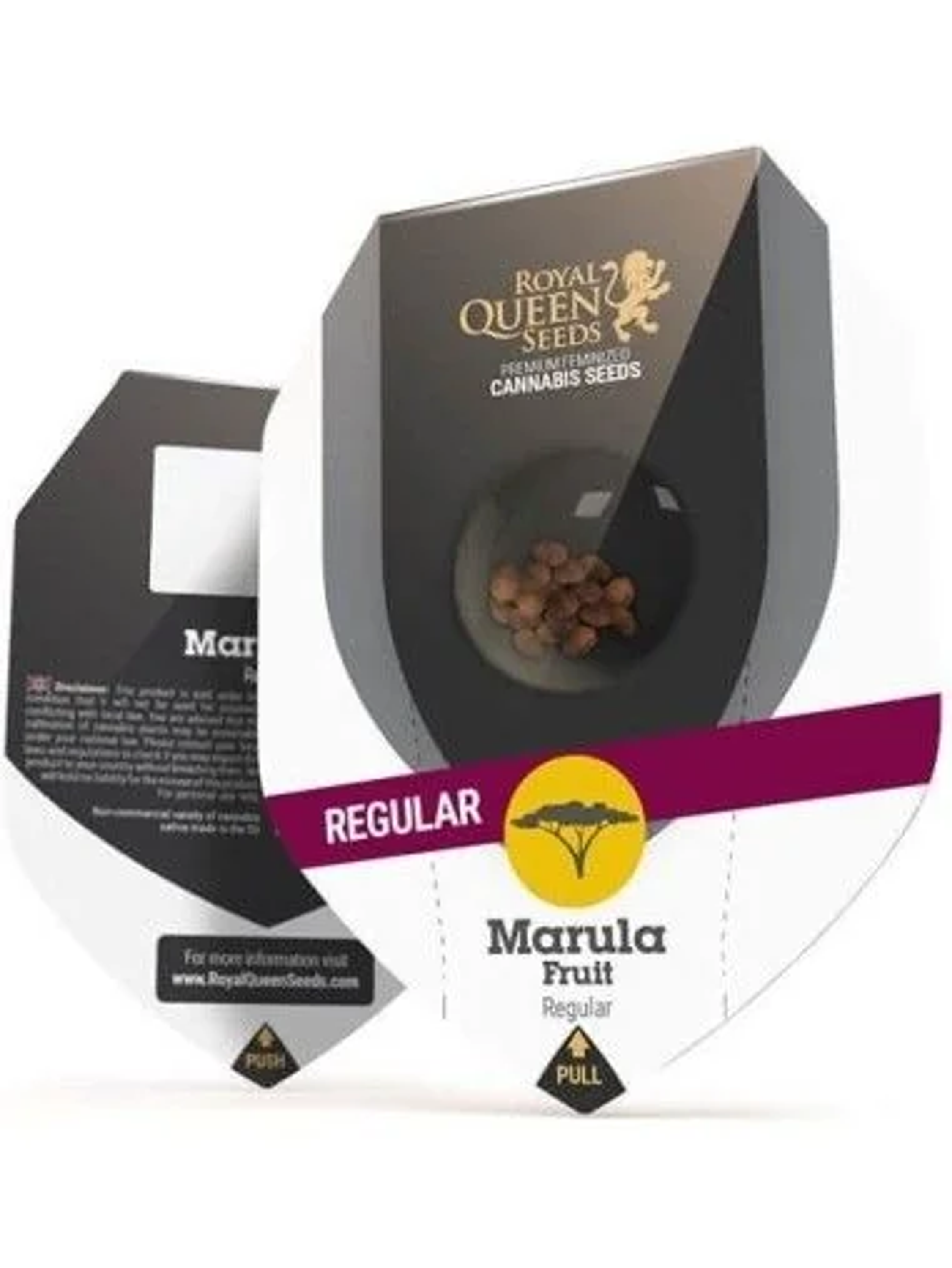 Marula Fruit Reg. X10-Royal Queen Seeds 1