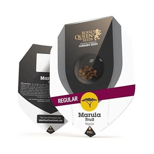 Marula Fruit Reg. X10-Royal Queen Seeds