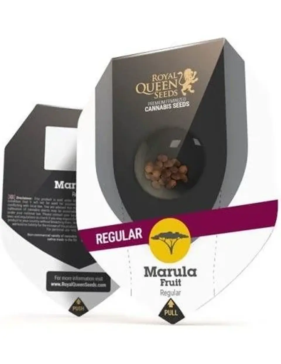 Marula Fruit Reg. X10-Royal Queen Seeds 1