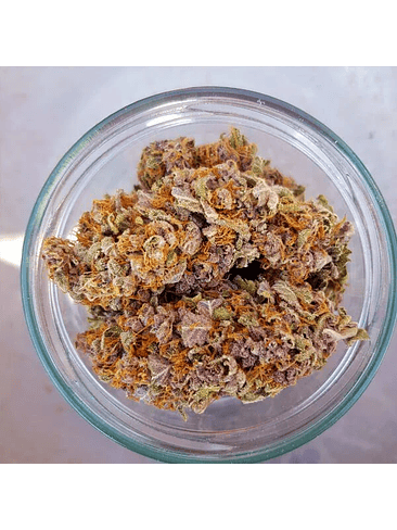 PURPLE QUEEN USA PREMIUM FEM X3-ROYAL QUEEN 3