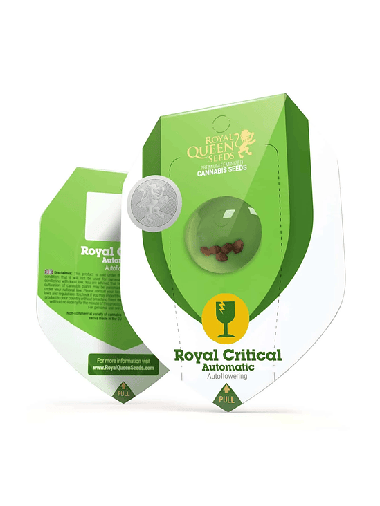 ROYAL CRITICAL AUTO X1-ROYAL QUEEN SEEDS 1