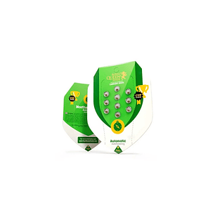 ROYAL CREAMATIC AUTO X10-ROYAL QUEEN