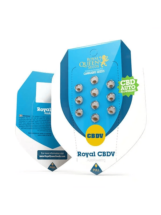 ROYAL CBDV AUTO X3 - ROYAL QUEEN SEEDS 1