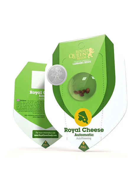 Royal Cheese Auto X3-Royal Queen Seeds 1