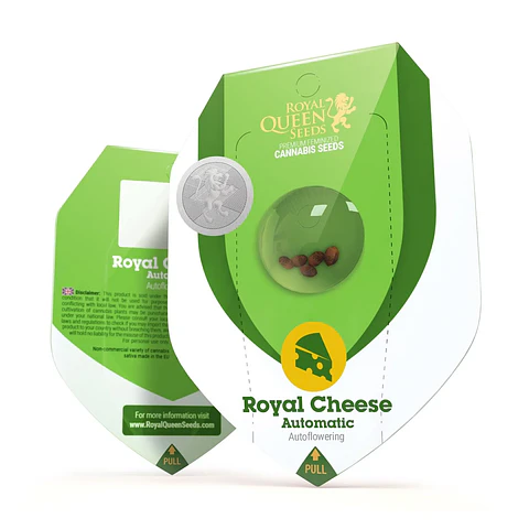 Royal Cheese Auto (X3/X1)-Royal Queen Seeds
